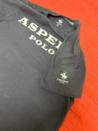 Camiseta ASPERN POLO azul y verde