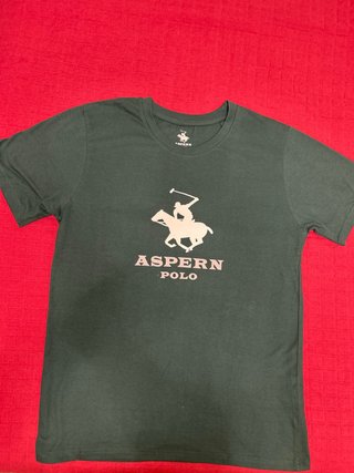 Camiseta ASPERN POLO azul y verde