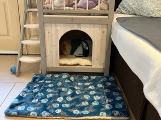 Casita para perros de madera
