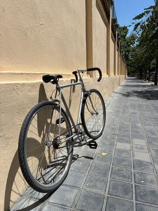 Bicicleta Fixie/Carretera Gris