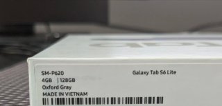 Samsung Galaxy Tab S6 Lite (2024)