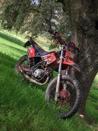 Beta RRT 50 Enduro Moto