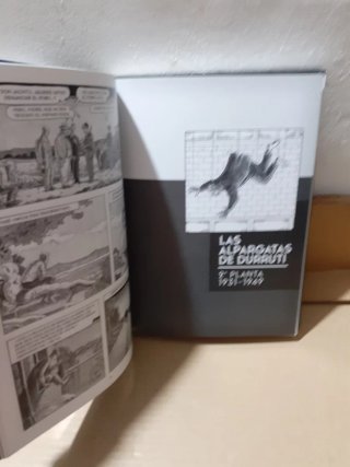 El arte de volar .El ala rota.