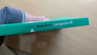 La opción B (novela)