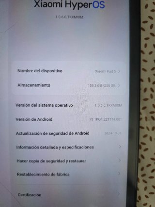 Xiaomi Pad 5 256GB gris + Cargador rápido y cable