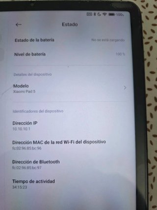 Xiaomi Pad 5 256GB gris + Cargador rápido y cable