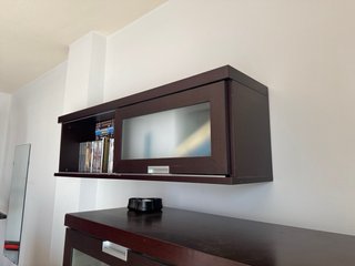 Vitrina Salón con Puerta y estanterías