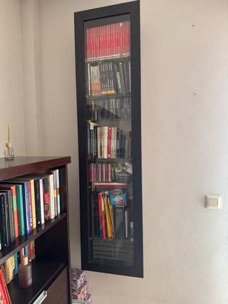 Vitrina Salón con Puerta y estanterías