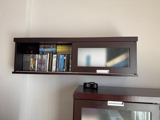 Vitrina Salón con Puerta y estanterías
