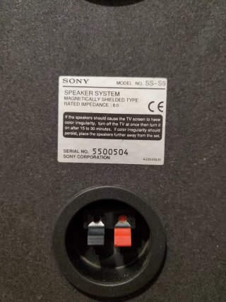 Altavoces Sony SS-S9