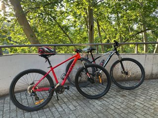Orbea Alma H50