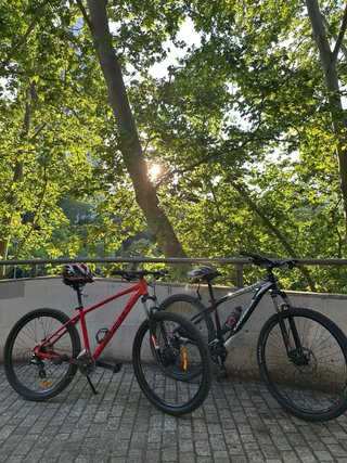Orbea Alma H50