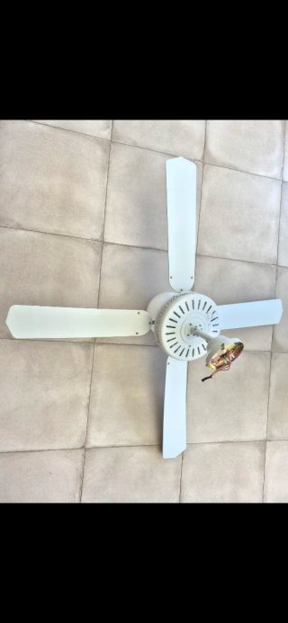2 Ventiladores de Techo Blancos