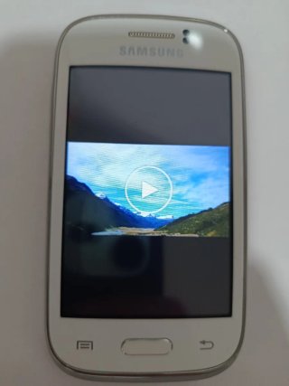 Samsung Galaxy Young GT-S6310N Blanco