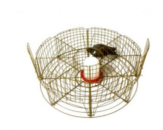Jaula traslado palomas 8 huecos