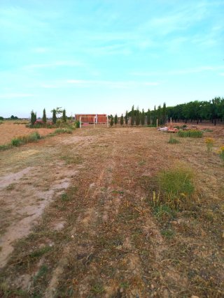 Vendo finca