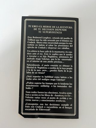 Prisionero de Elderwood - Bruce Algozin