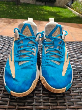 Nike Giannis Baloncesto Talla 41