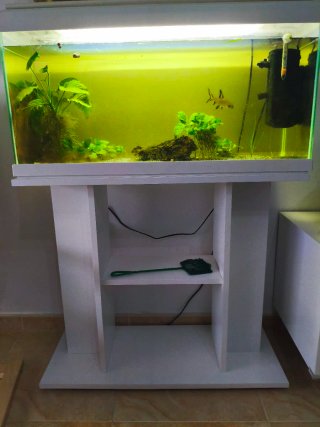Pecera de cristal con mueble blanco