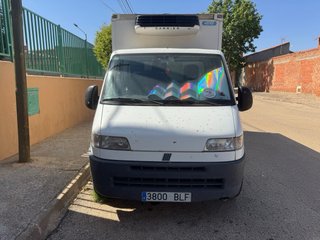 Fiat ducato maxi Ducato maxi 2000