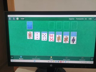 Pantalla HP 22/24 VGA/DVI