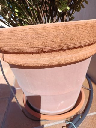 Macetero de terracotta grande con su plato.