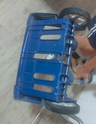 Carro Safta para mochila