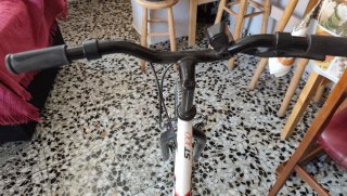 Bicicleta Rockrider ST 100 20 Infantil