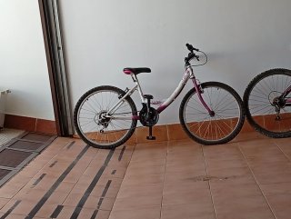 Bicicleta junior