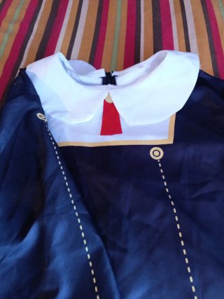 Traje Cosplay   incluye peluca sin estrenar