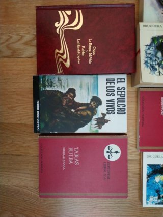 Clásicos Literatura rusa: Tolstói, Dostoyevski...