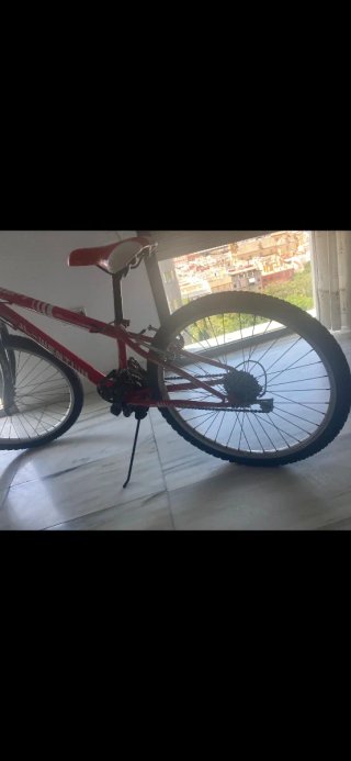 Bicicleta Montaña JL-WENTI Arroyo Roja