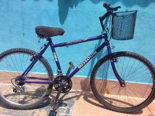 Bicicleta de Montaña Morada