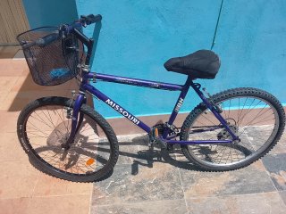 Bicicleta de Montaña Morada