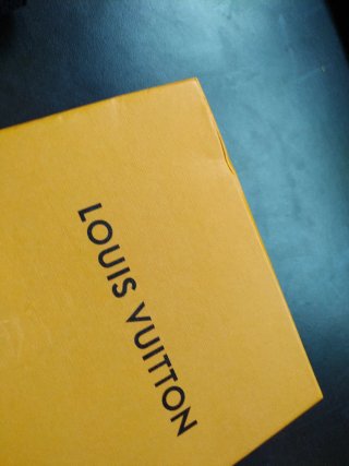 Cartera Louis Vuitton Negra