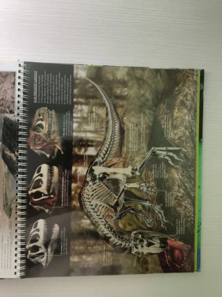 Gran atlas de los dinosaurios.