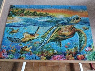 Puzzle Castorland Tortugas Marinas 1000 Piezas