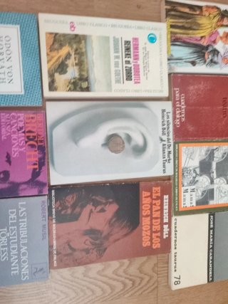 Clásicos literatura alemana: Hesse, Brecht...