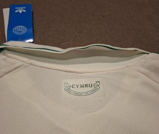 Camisola Futebol Gales L