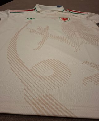 Camisola Futebol Gales L