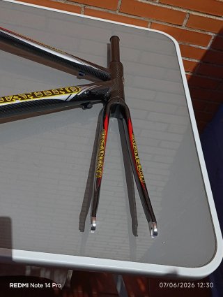 CARBONO/TITANIO cuadro CONSTANTINO Professional.