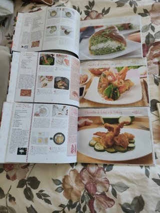 Lote libros de cocina