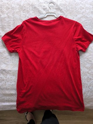 Camiseta Jurassic Park