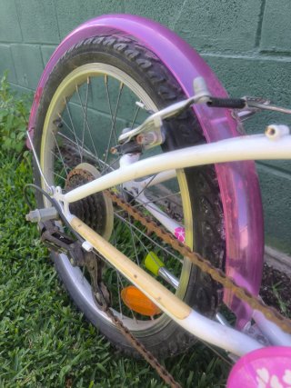 Bici Btwin 20 pulgadas Niña Niño