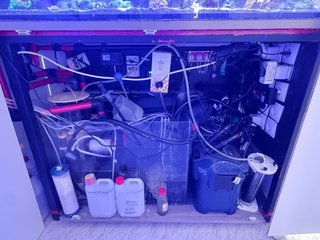 Acuario rebajado SI SE BUSCA HOY