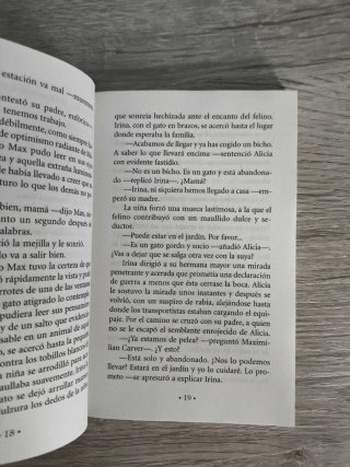 El príncipe de la niebla