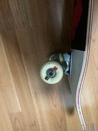 Skate Paranoid
