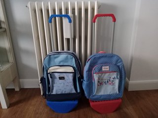 Mochilas con carrito y ruedas