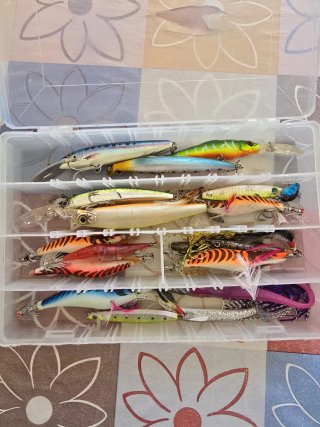 Caja Señuelos Pesca Variados