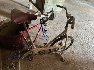 Bicicleta Estática BH Antigua